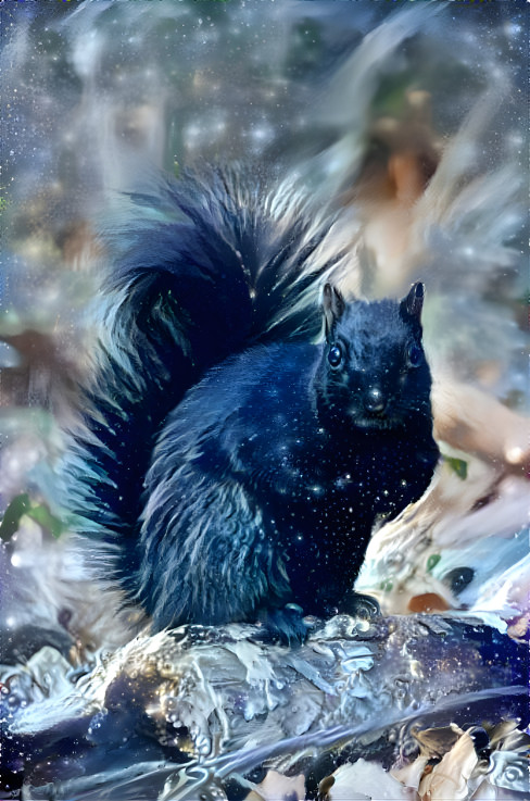 Black Squirrel 