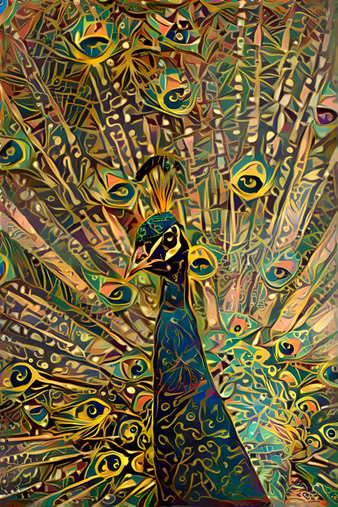 Peacock 