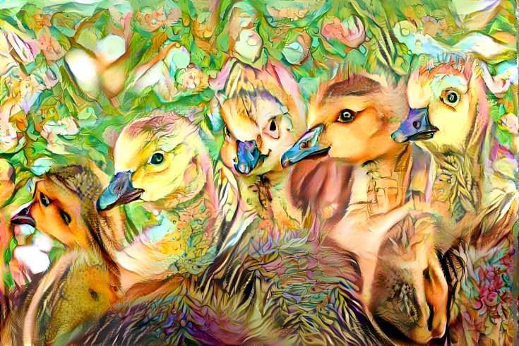 Goslings