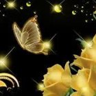 Golden butterflies and yellow roses on starry night background.