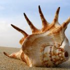 Surreal golden shell with spiky extensions on sandy beach with reflective bubbles and cityscape backdrop