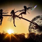 Three fairies silhouetted on branch in sunset scene