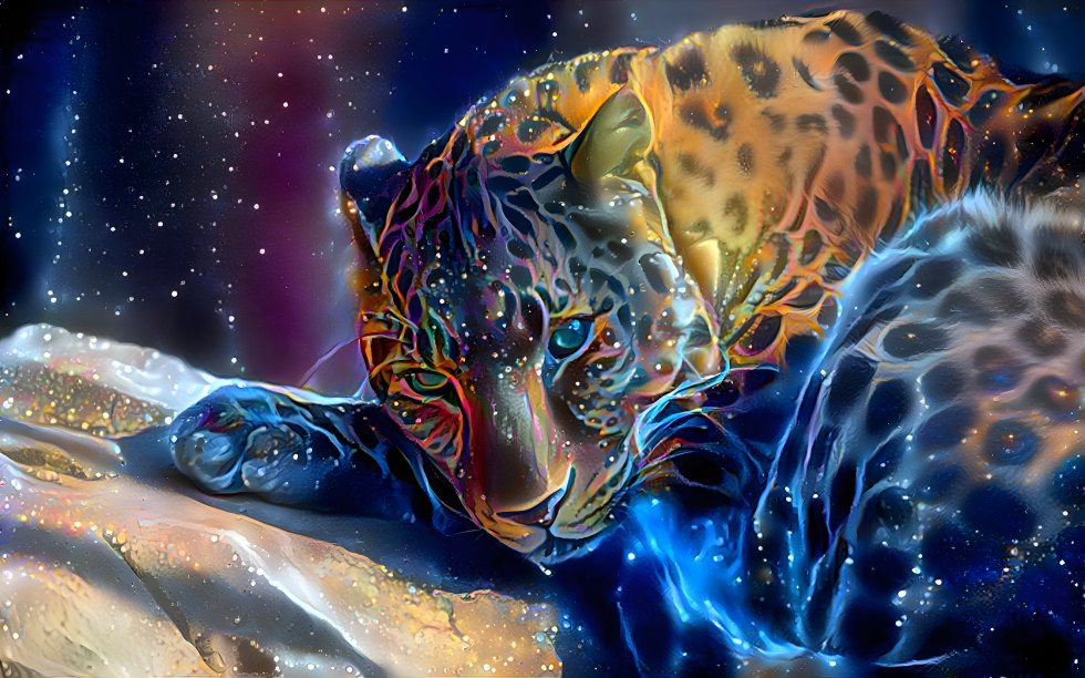 Starry Tiger