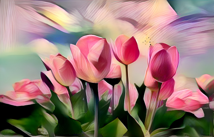 Tulips