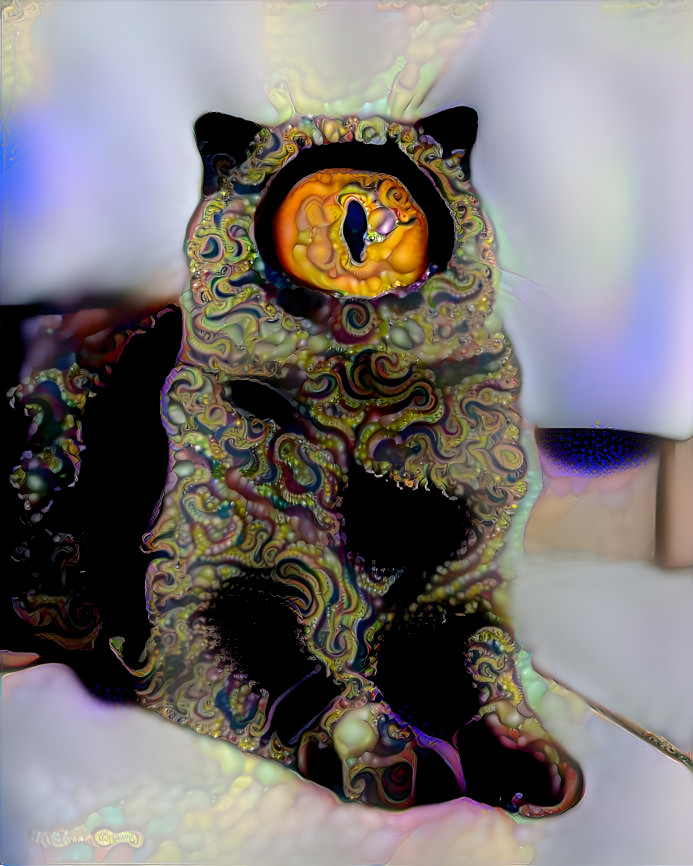 PsyCat