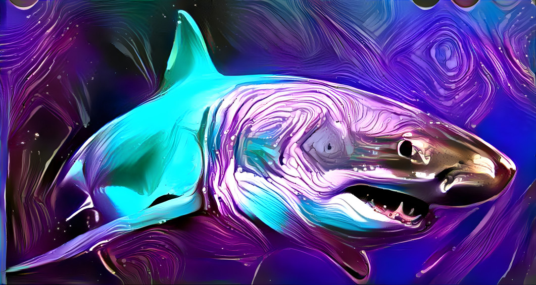 illus shark