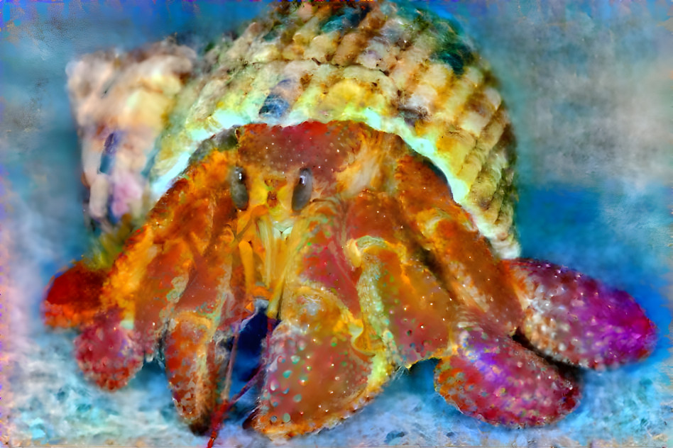 a diamond hermit crab