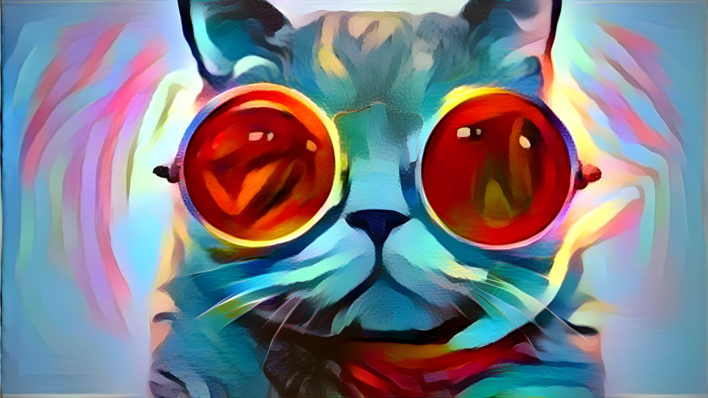 cool cat