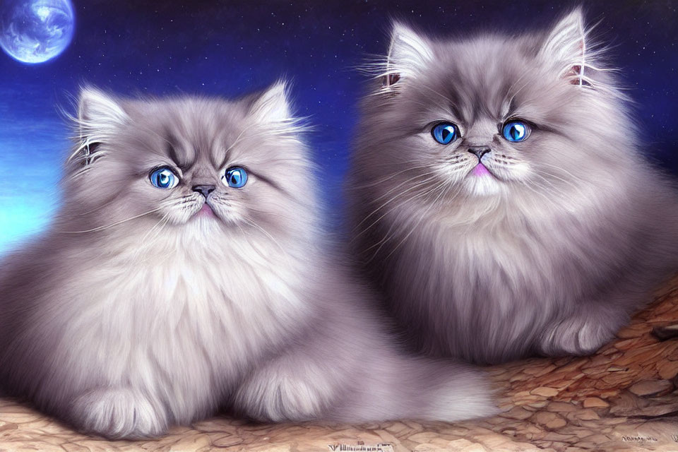 Fluffy cats with blue eyes under night sky with moon and stars