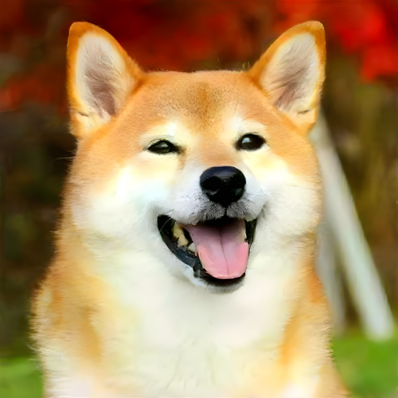 i have brought the doge back