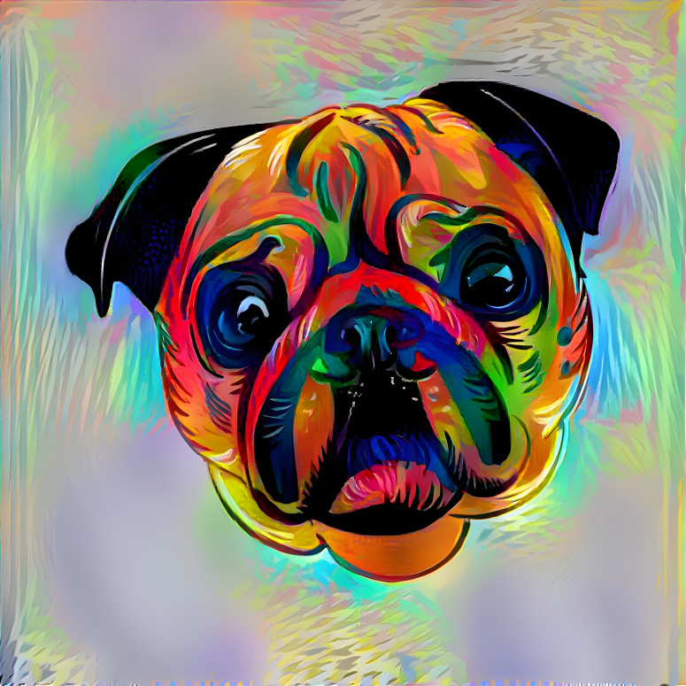 Pug