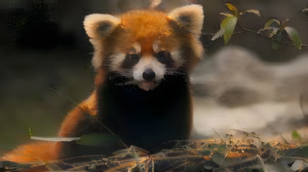 It's a red panda!