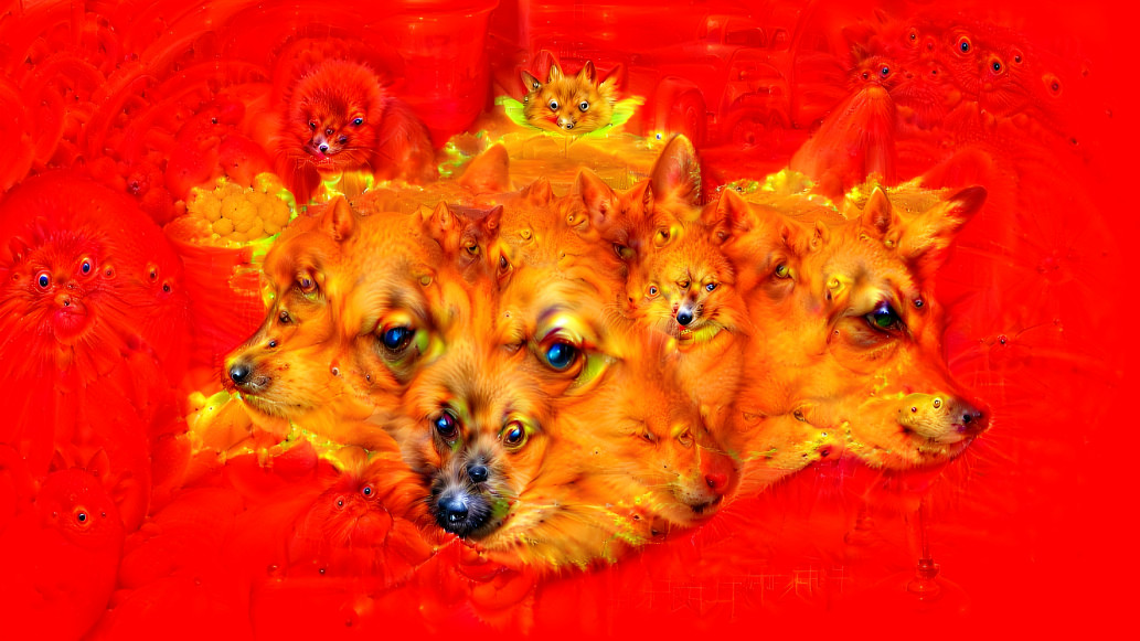 Fractal dogs