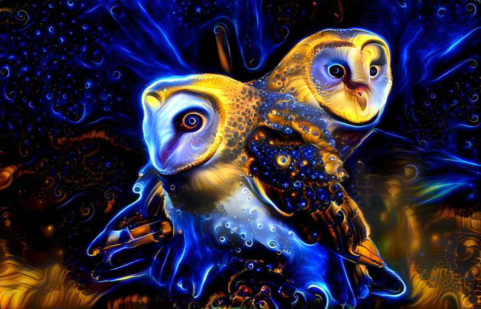 Owls