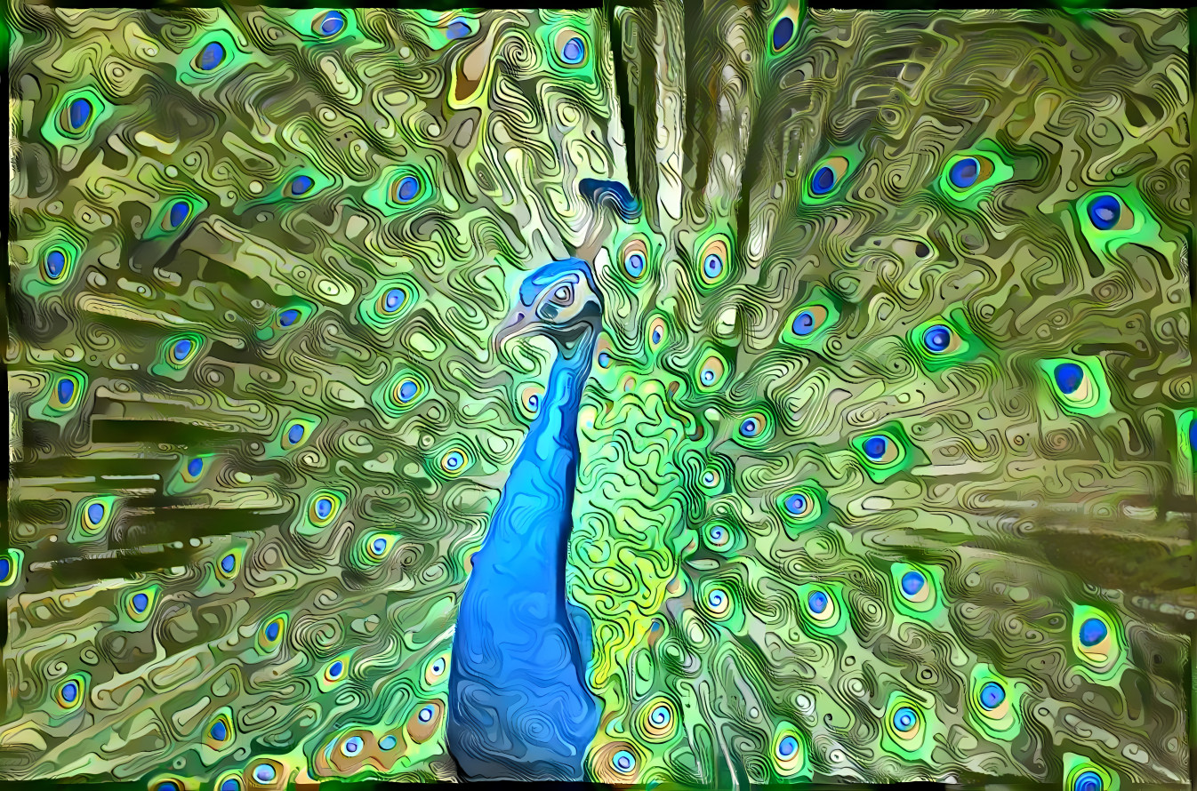 Peacock