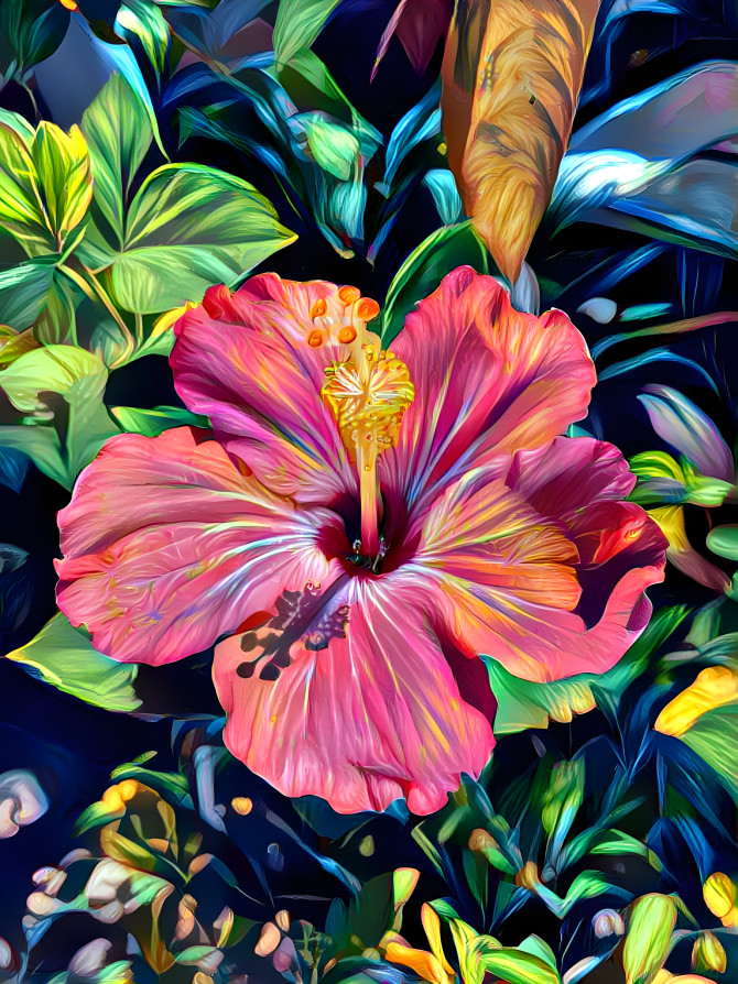 Hibiscus