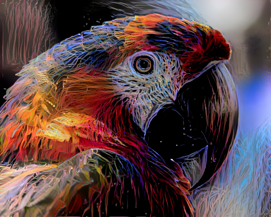 Parrot