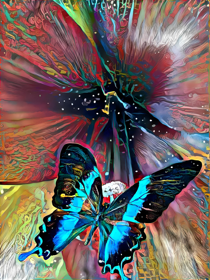 Colorful butterfly