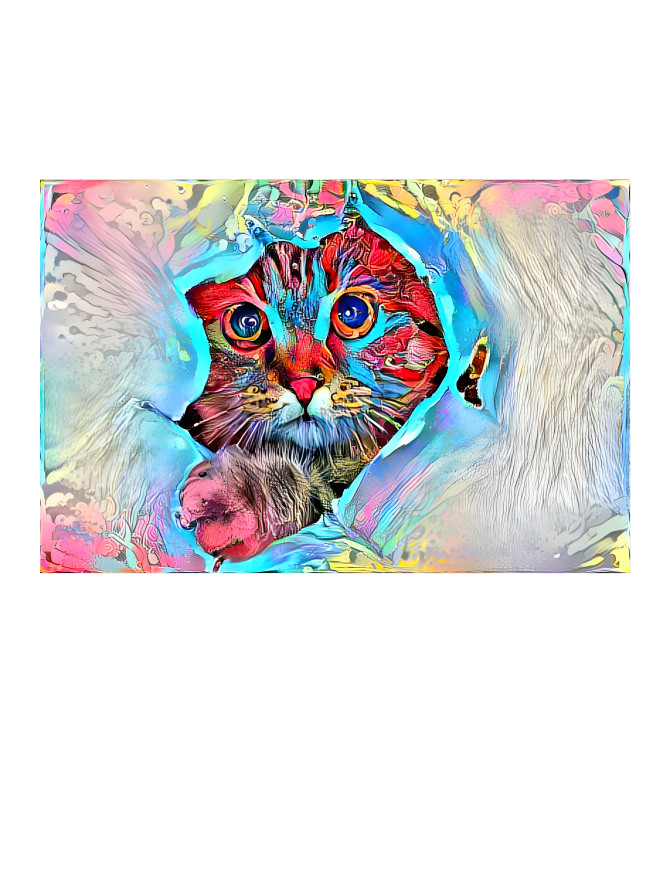 Colorful Cat