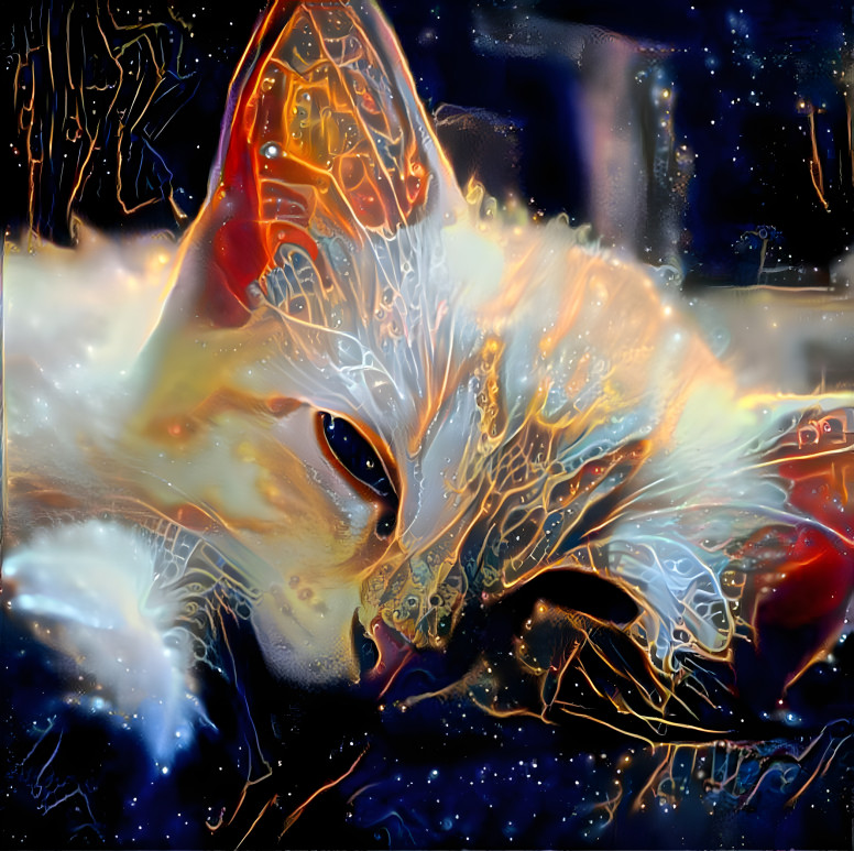 Fractal Kitty