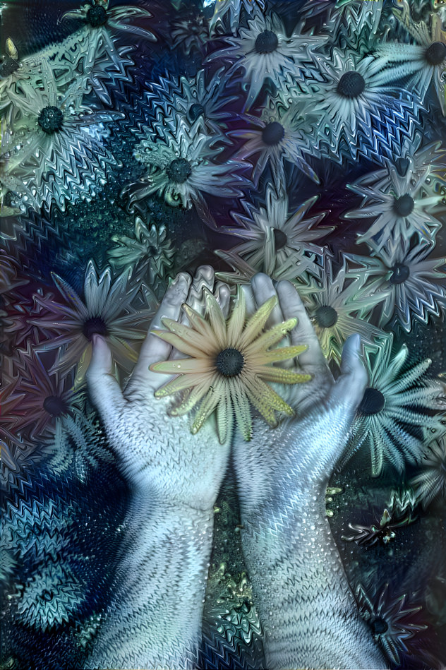 Fractal flowers