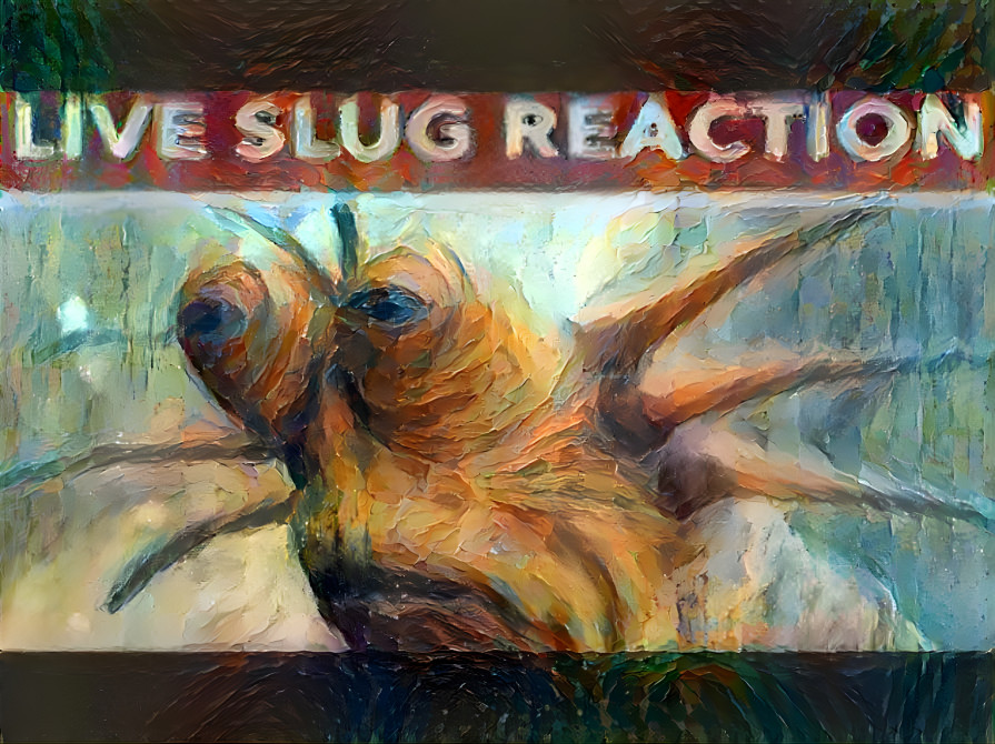 LIVE SLUG REACTION