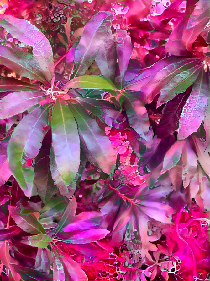 Flamingo leafs