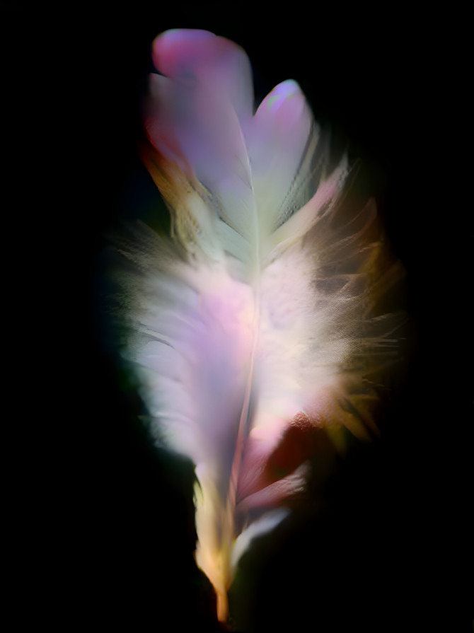 Magic Feather