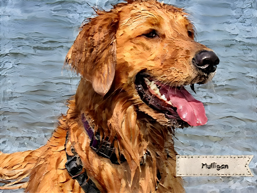 Beach Day For Mulligan