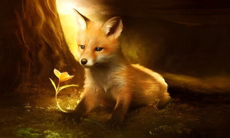 Fox