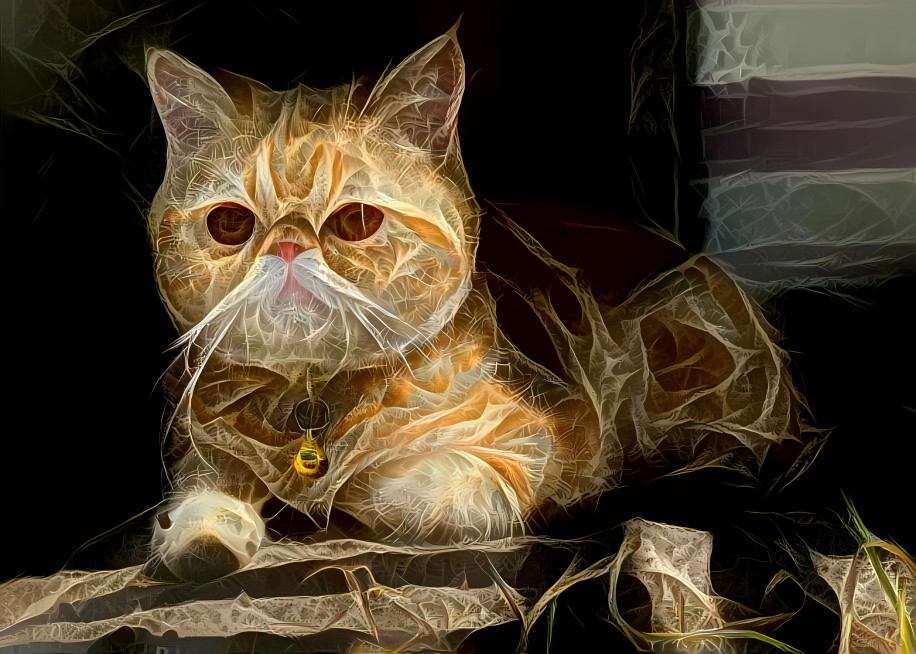 Orange fractal cat