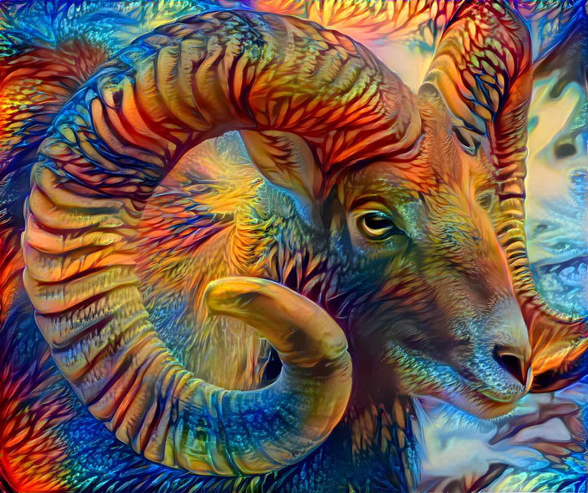 Ram