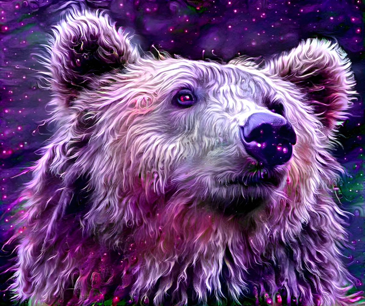 Bear 