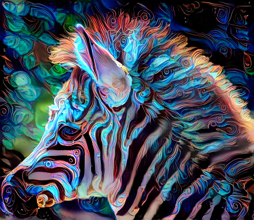 Little zebra