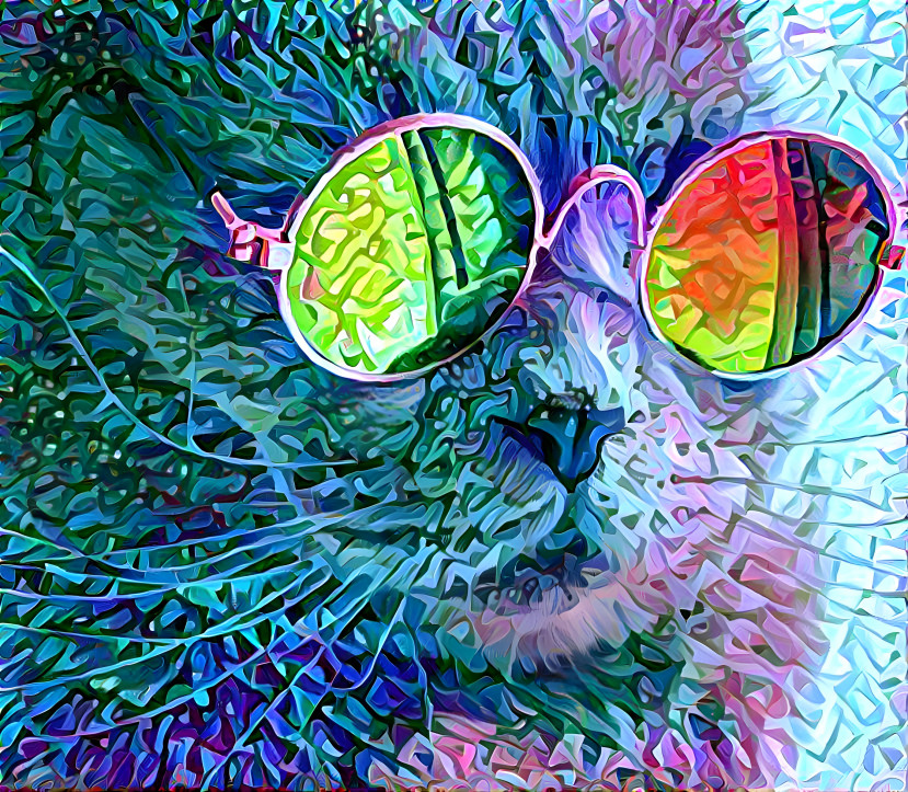 Cool cat