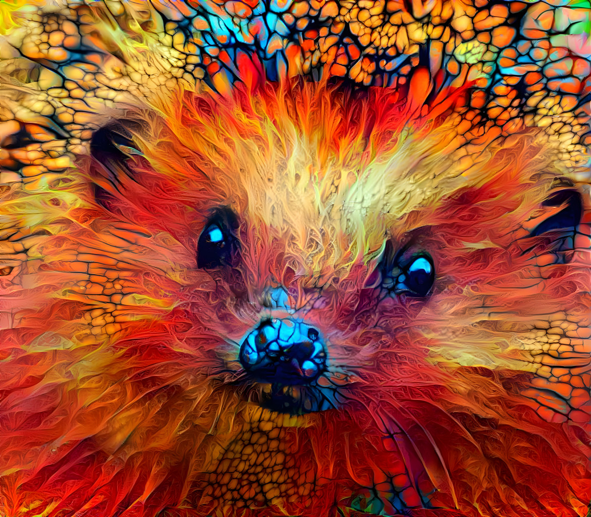 Hedgehog