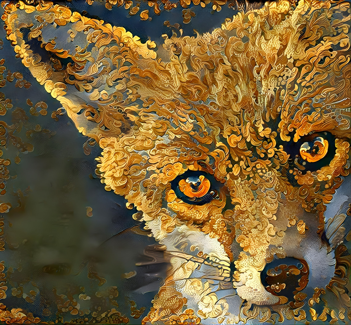 The curious fox