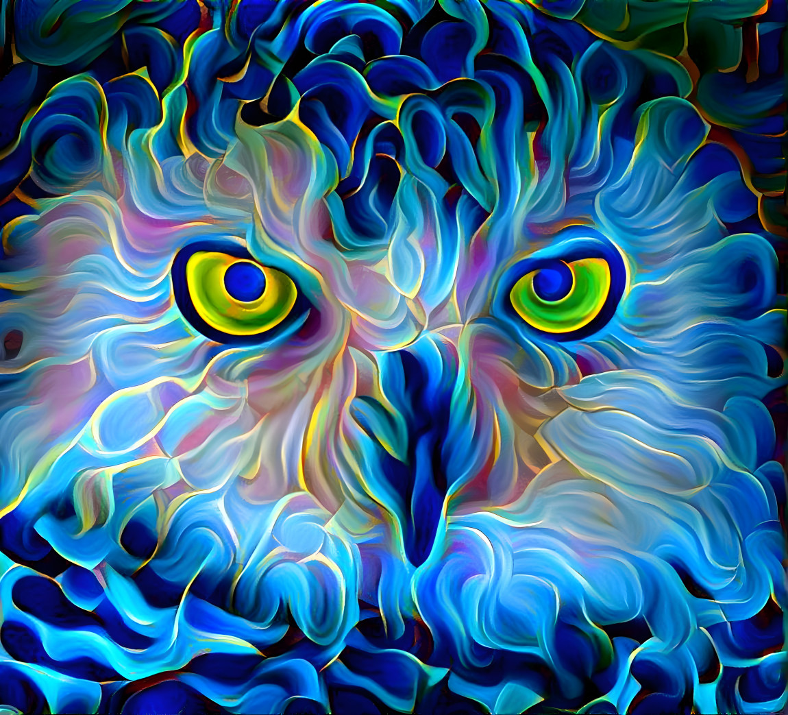 Blue owl