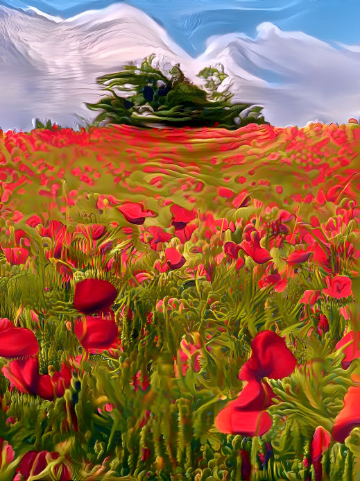 Poppyfield 