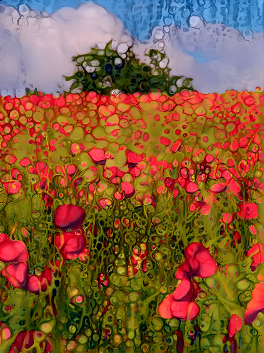 Poppyfield II