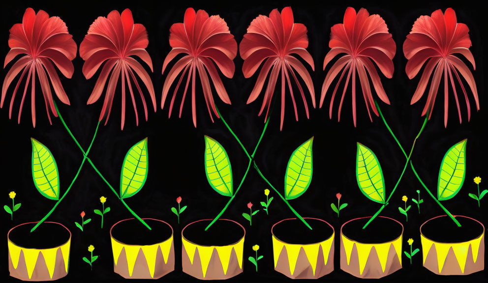 Stylized red flower growth sequence in pots on black background