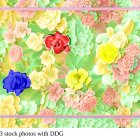 Colorful Rose and Greenery Floral Pattern on Pastel Background