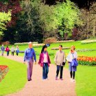 Vibrant park scene with lush green trees and blooming tulips