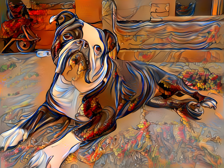 Bulldog in style