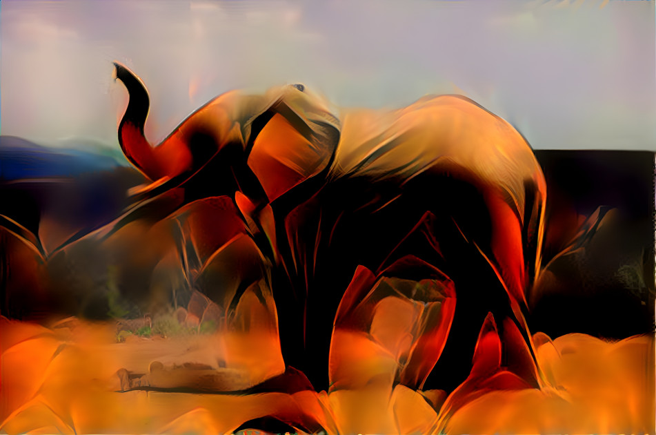 Elephant