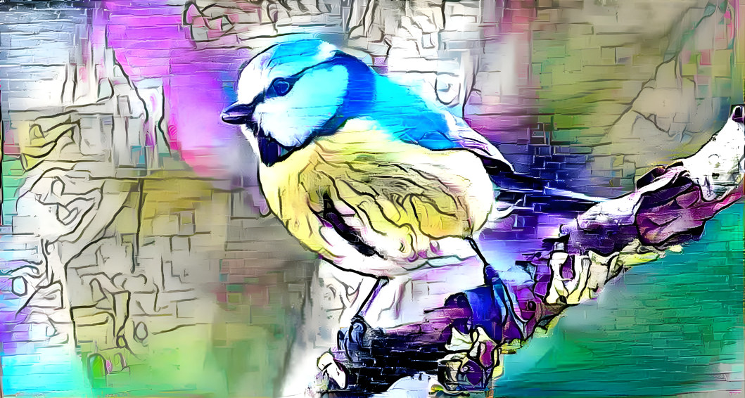 Bird