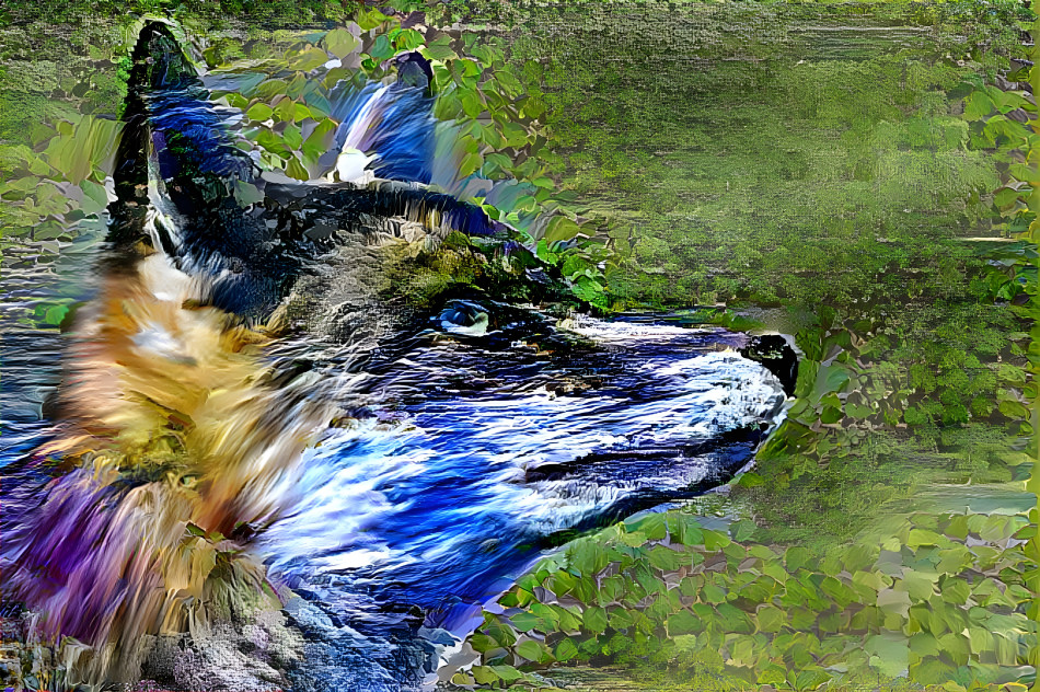  life of a fox