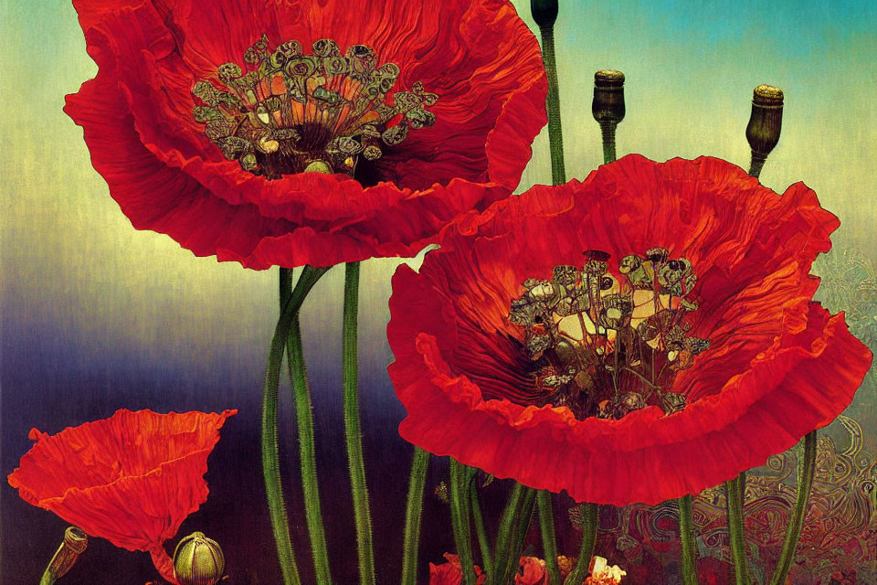 Vibrant red poppies on textured blue background with slender stems.