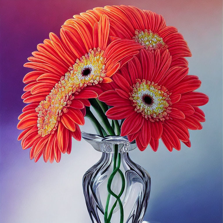 Vibrant red-orange gerbera flowers in clear vase on gradient purple background