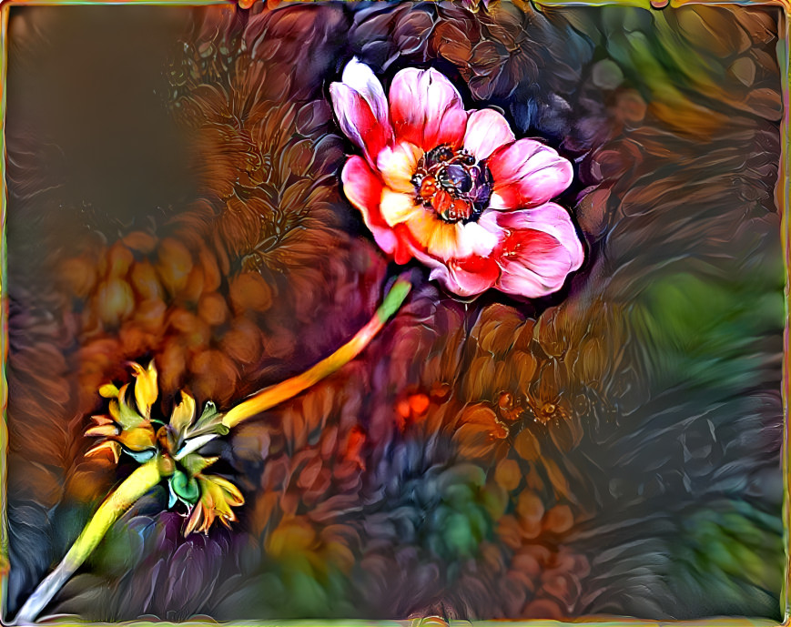 Anemone 2